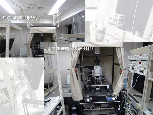 IMS-LabPhotos